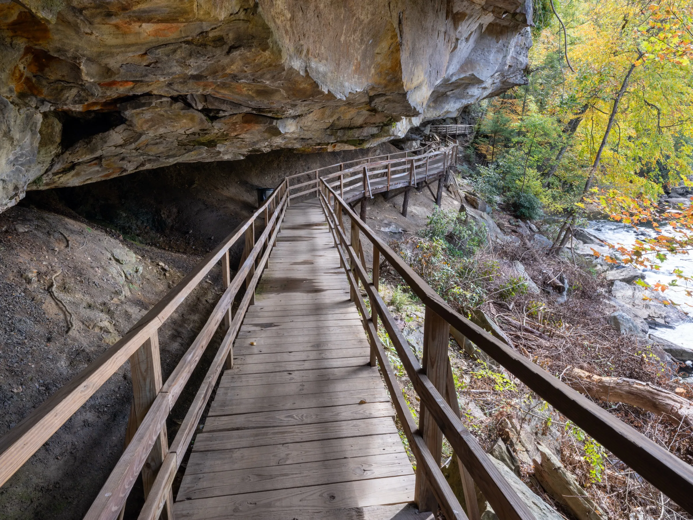 The boardwalk under Alum Cave