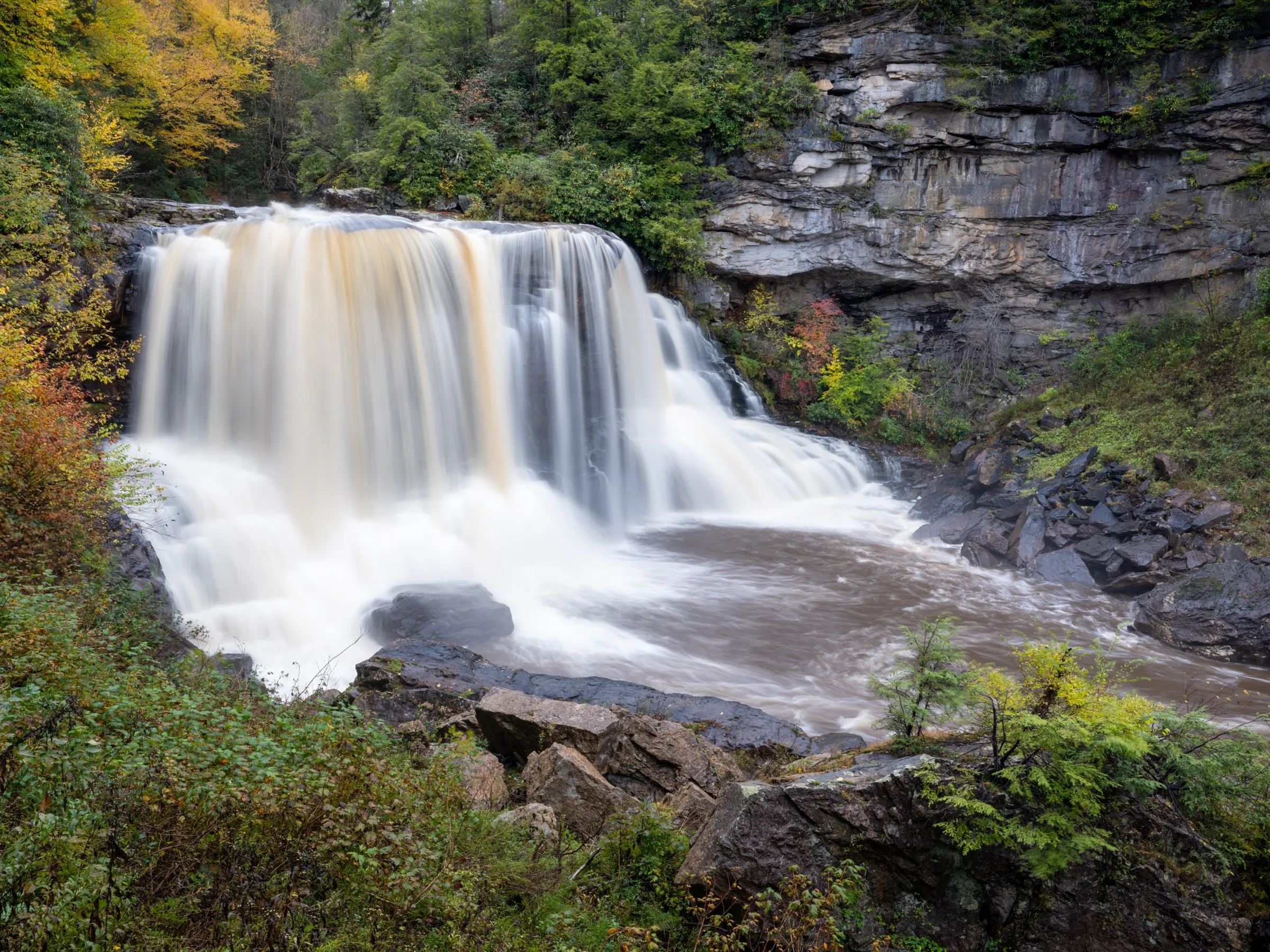 Blackwater Falls, running high