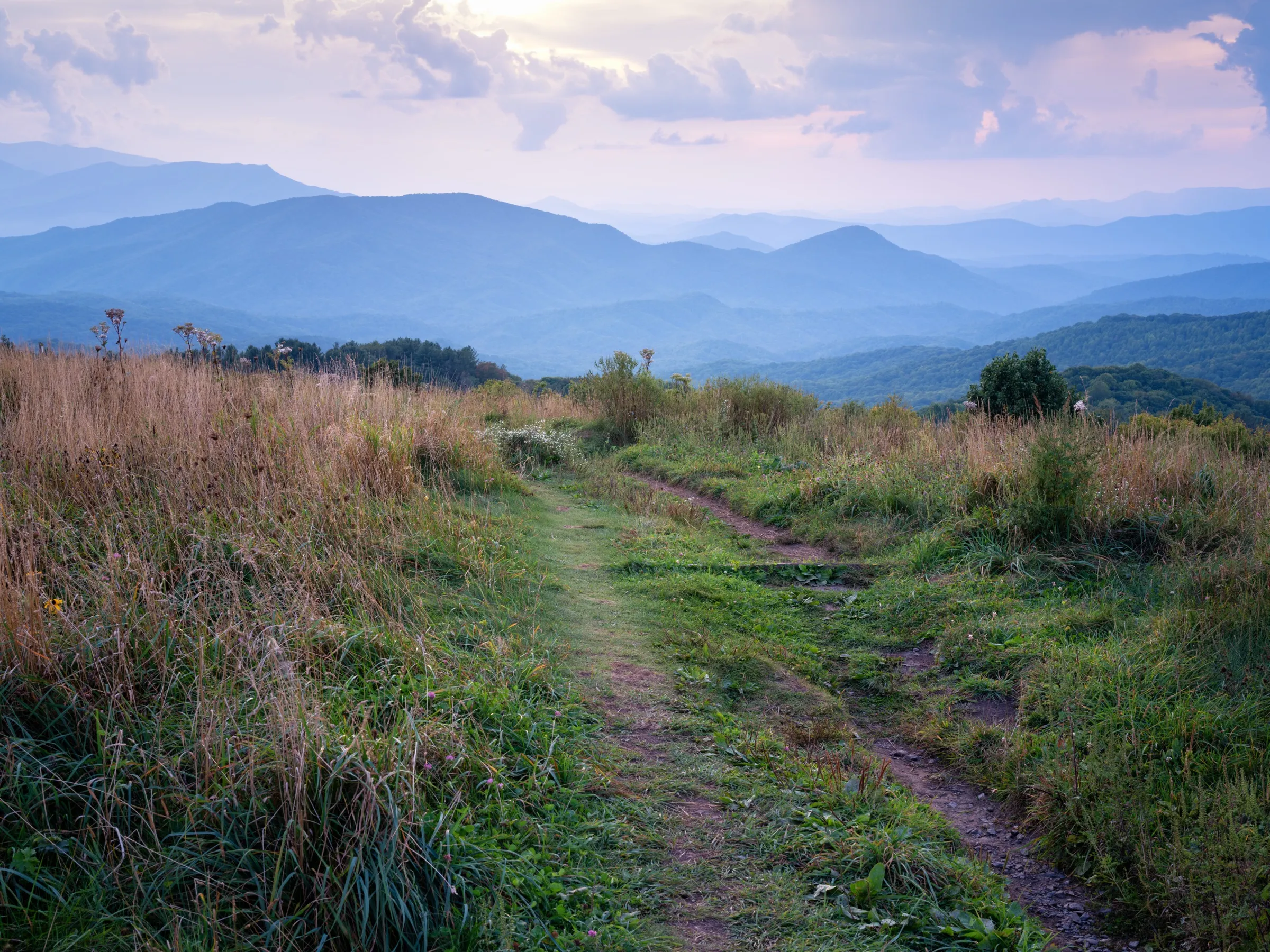 The AT over Max Patch, dusk