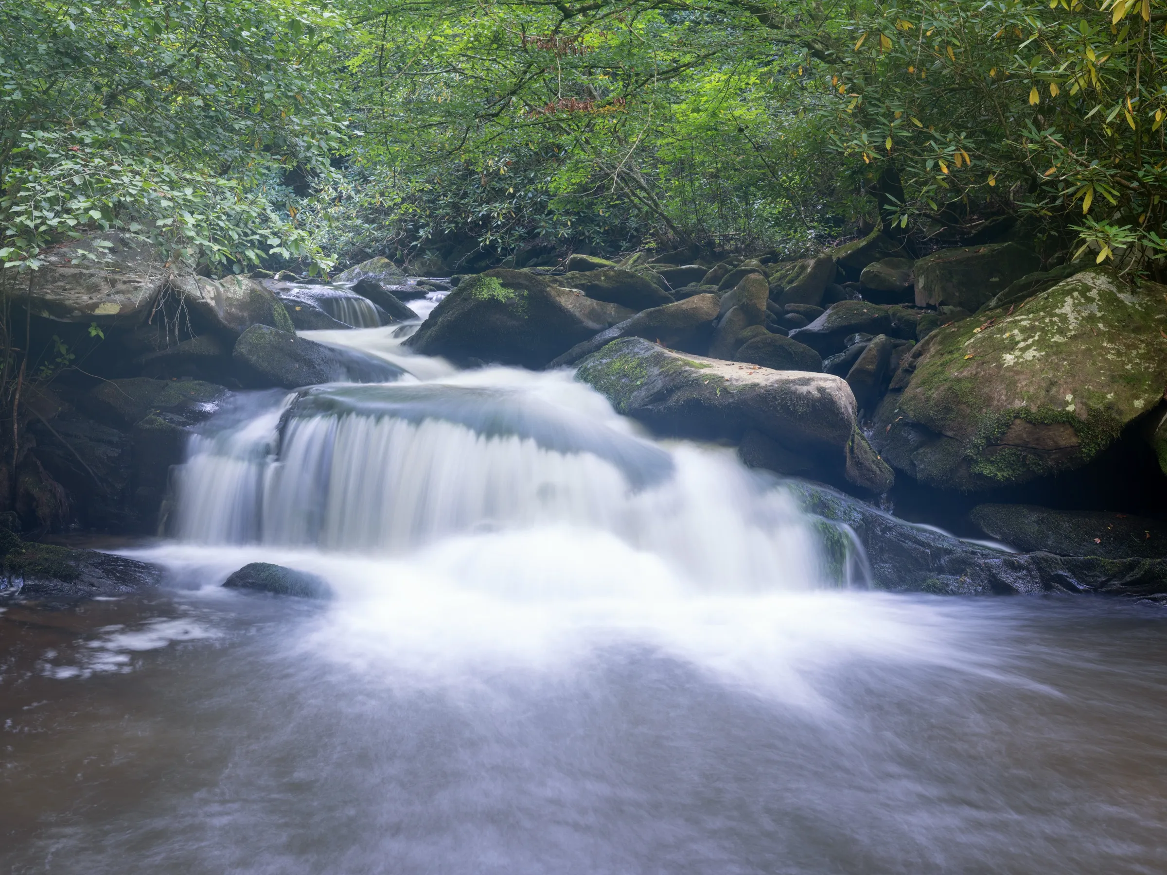 Yellow Creek, below the falls