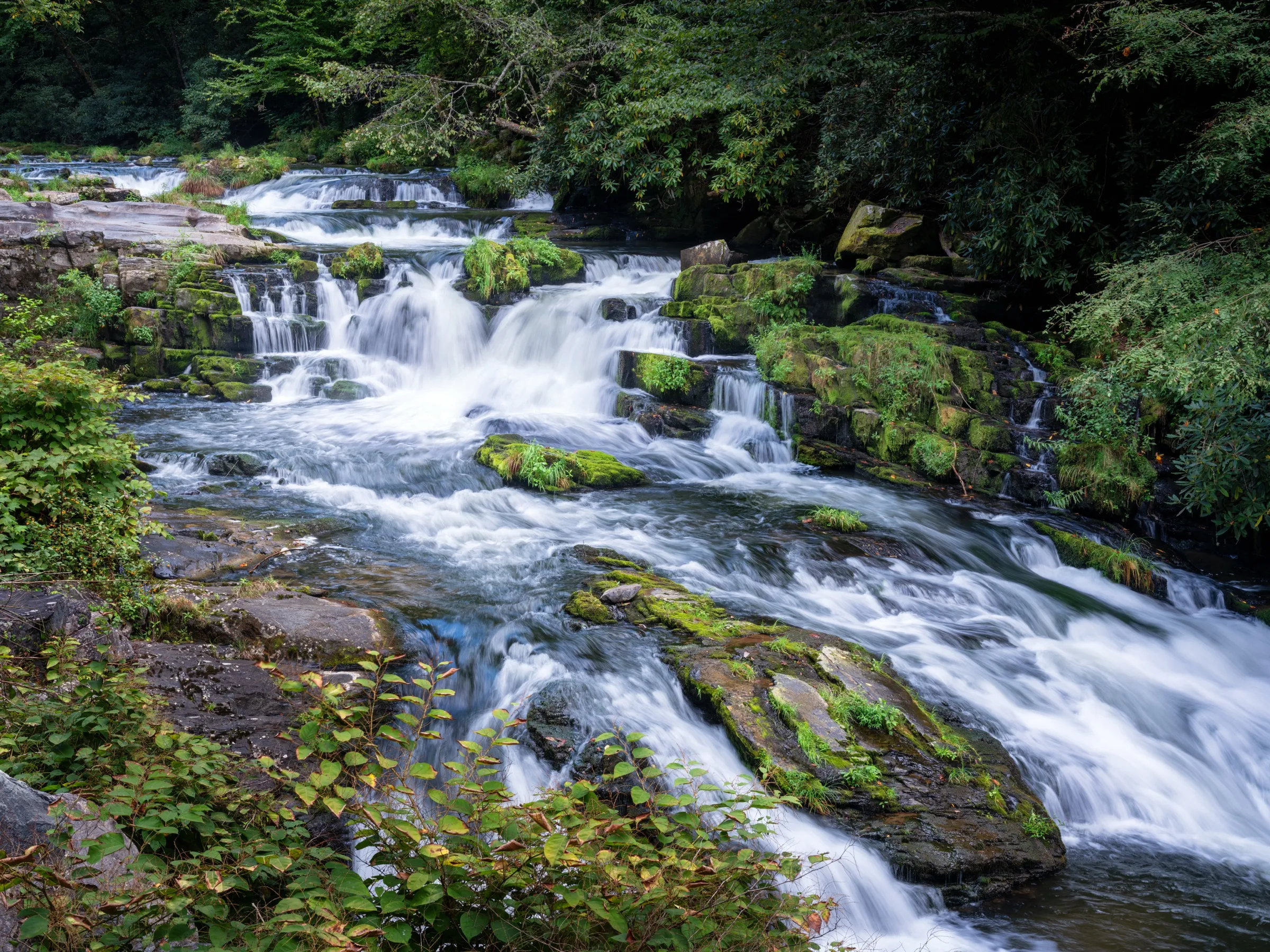 The cascades, downstream