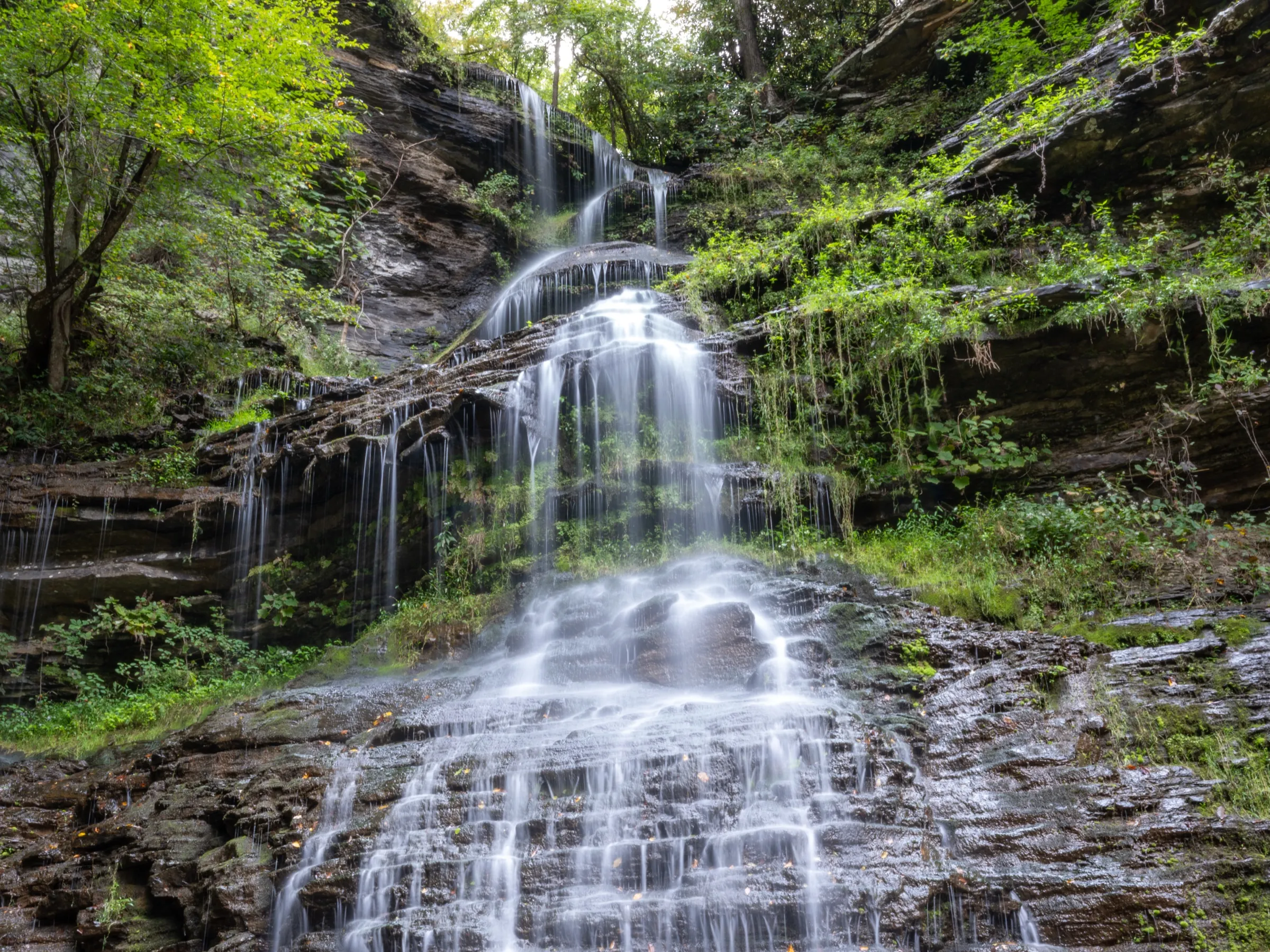 Cathedral Falls