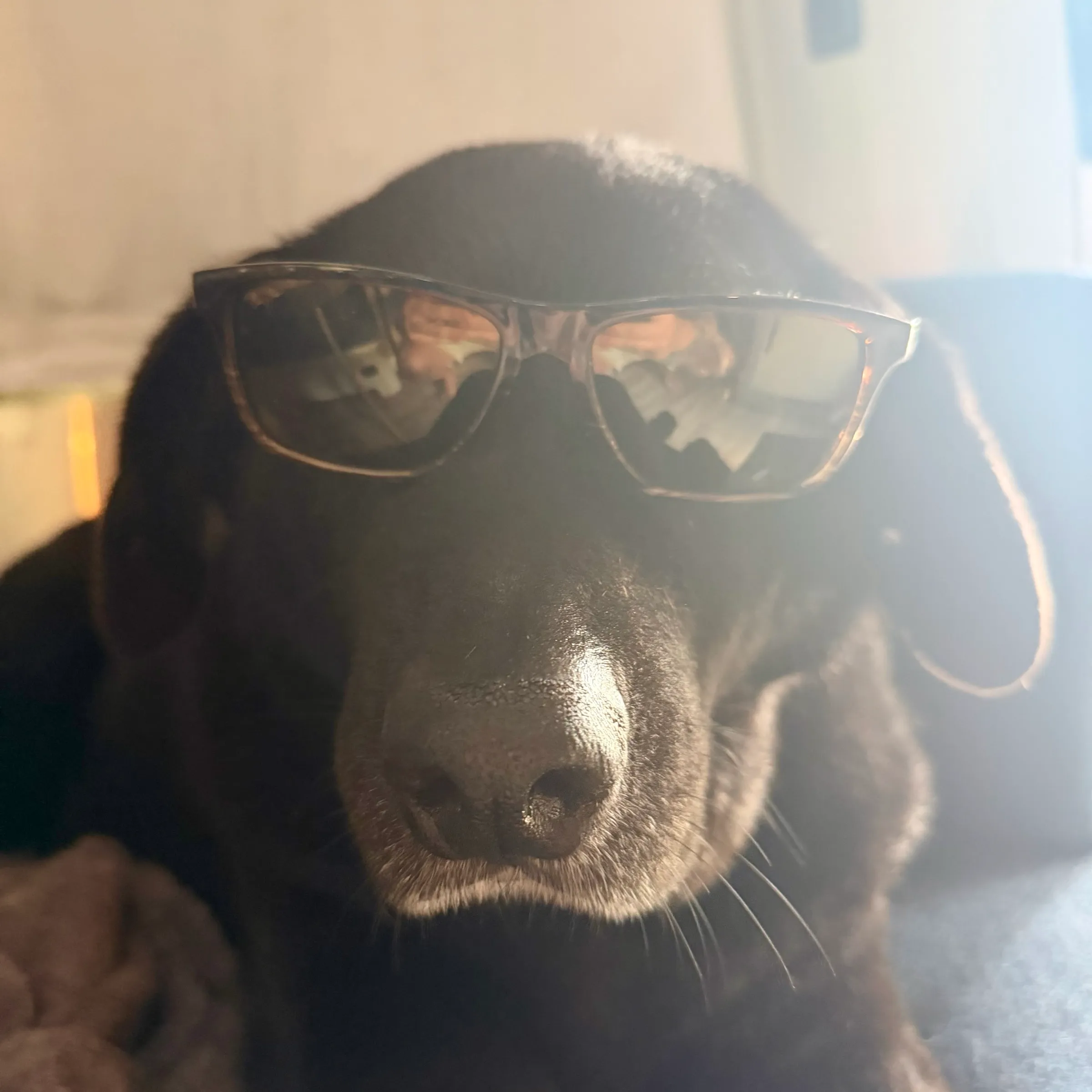 The first mate, off duty